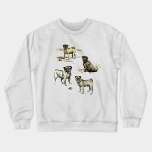 PUG DOGS Crewneck Sweatshirt